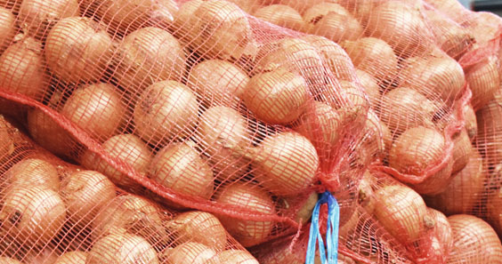 Onion Bag Production Line